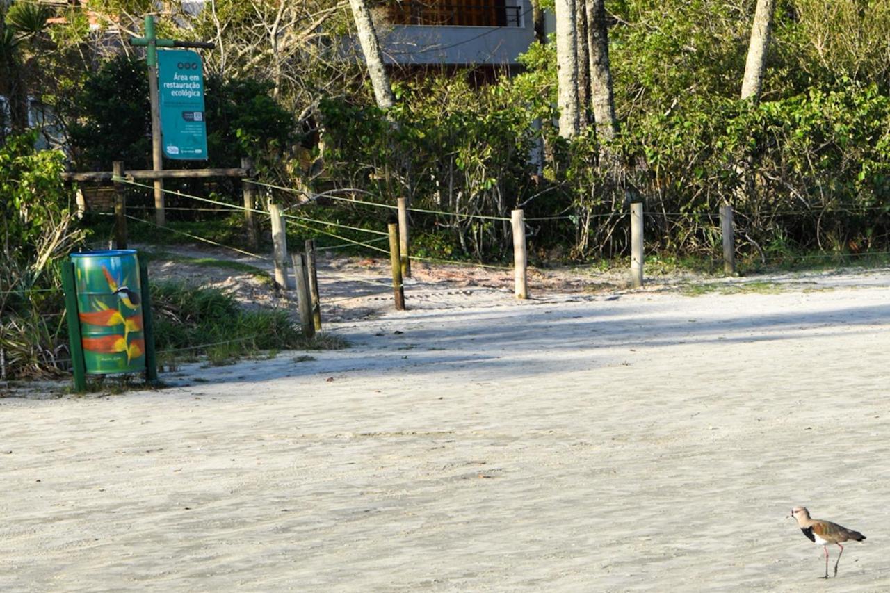 Mini Madeira Beach Alojamento *